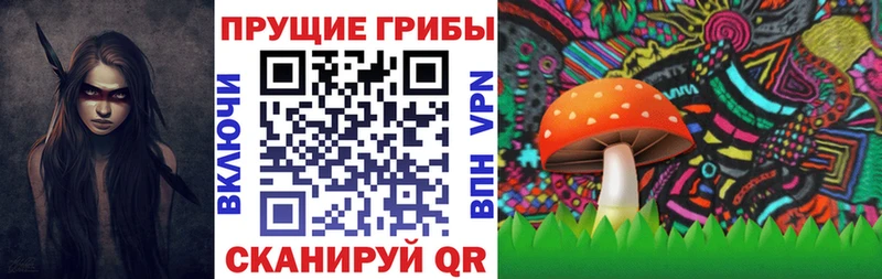 Галлюциногенные грибы Psilocybe  ссылка на мегу как зайти  Туринск  купить  сайты 